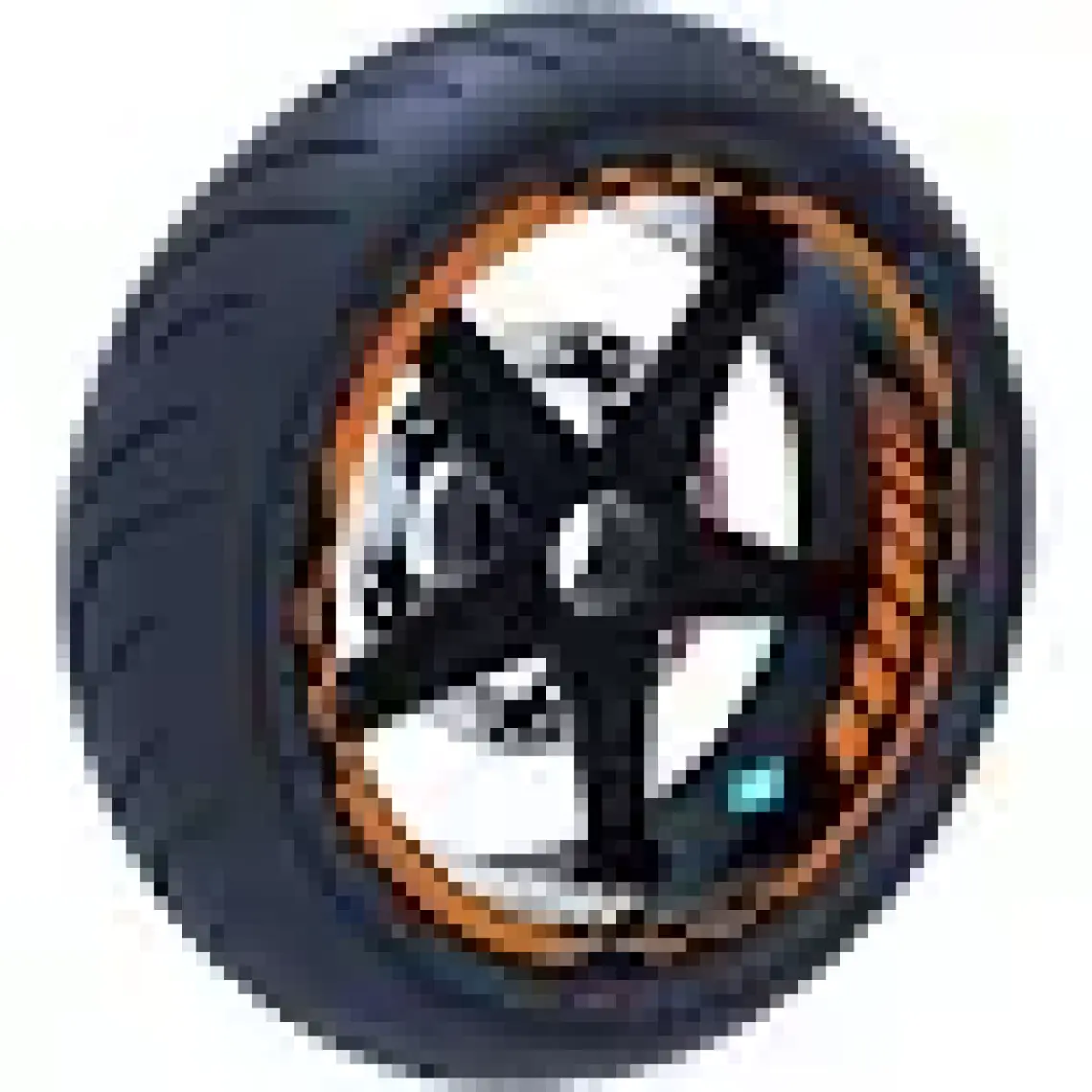 Çınar Extreme Moto Gp Iç Dış Jant Şeridi Takım Sticker Reflektif & Floresan Renkler Çınar Extreme