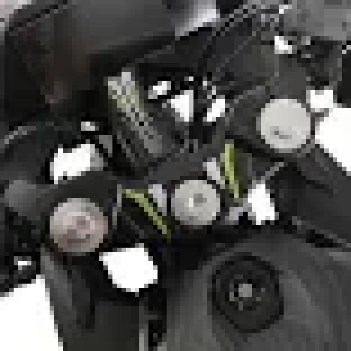 GP Kompozit CF Moto 250 SR 2020-2024 Uyumlu Tank Pad Seti Turkuaz