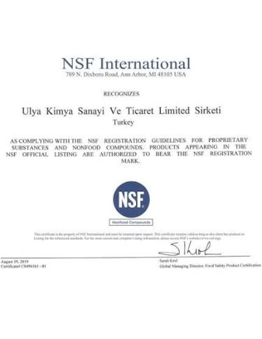 Ulchem Silikon Sprey Trim Ses Giderici 500 ml Kokusuz