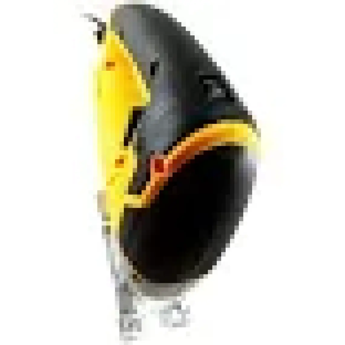 İngco JS80028 Dekupaj Testere   800 W