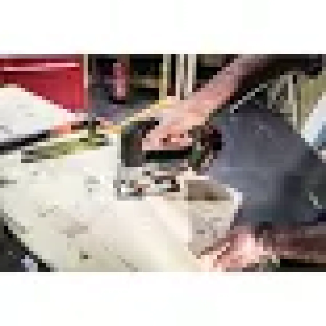 Worx WX543 20VOLT 2.0AH Li-Ion Profesyonel Dekupaj Testere