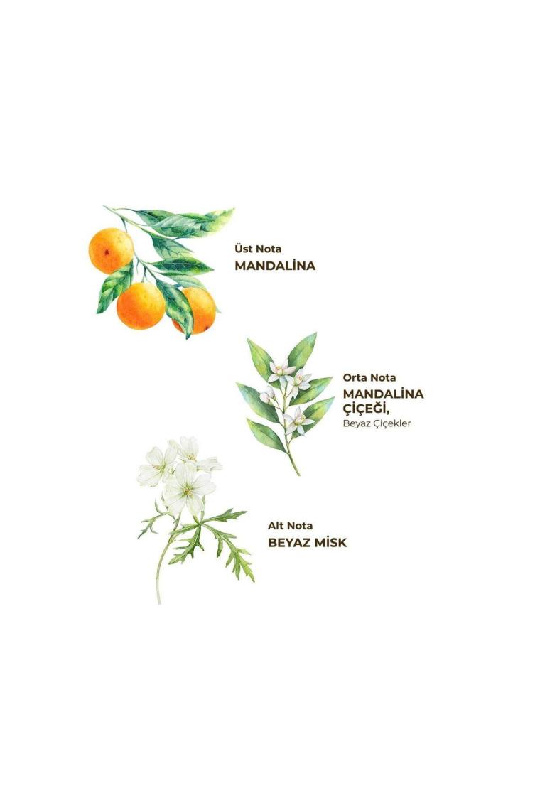 Eyüp Sabri Tuncer Bodrum Mandalinası Kolonyası Pet Şişe Sprey 150 ml