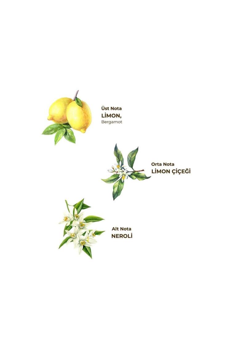 Klasik Limon Kolonyası 1 lt - Sprey Başlıklı