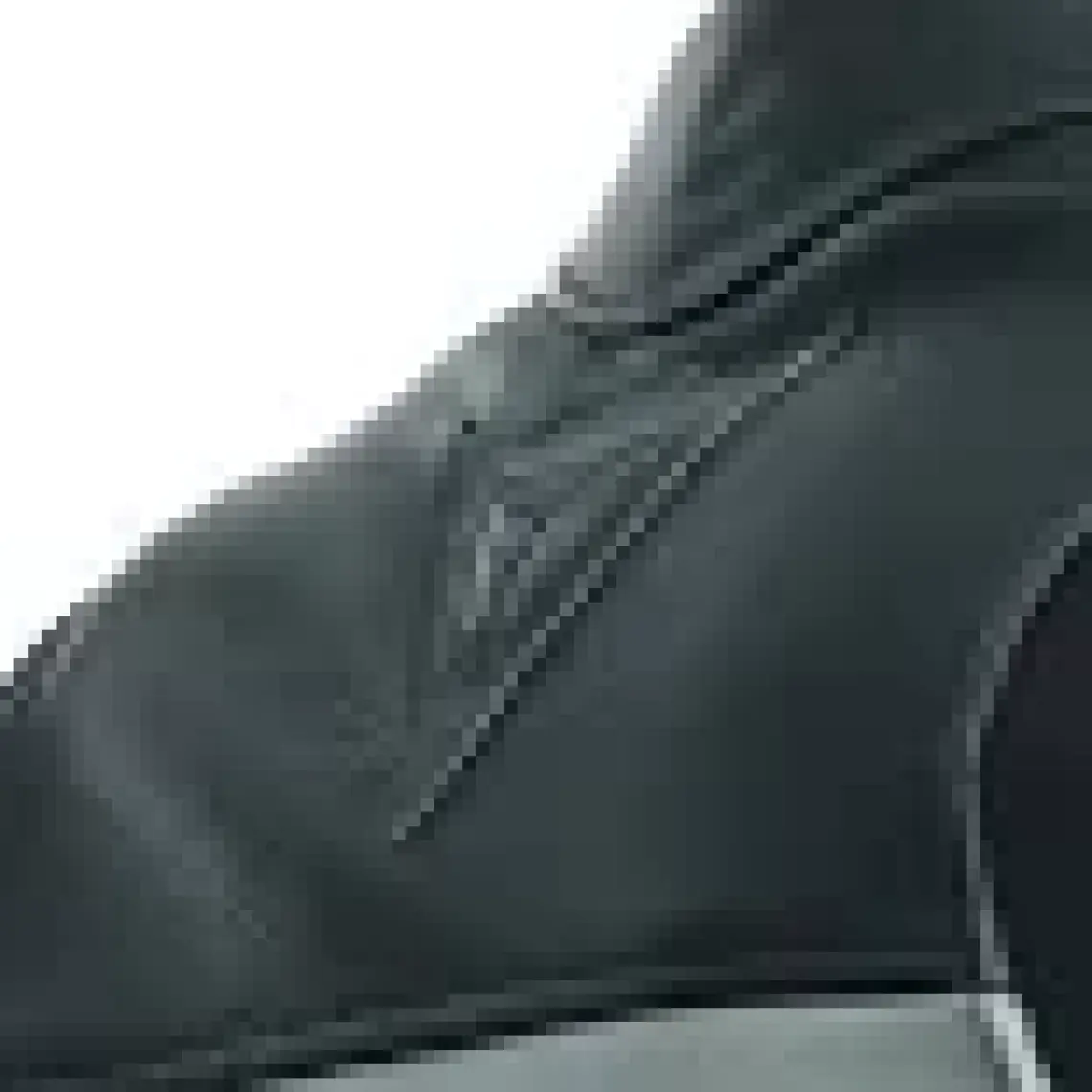 Dainese Racing 4 Siyah Dana Derisi Motosiklet Ceketi – Yansıtıcı Detaylı, Spor ve Şehir Sürüşüne Uygun
