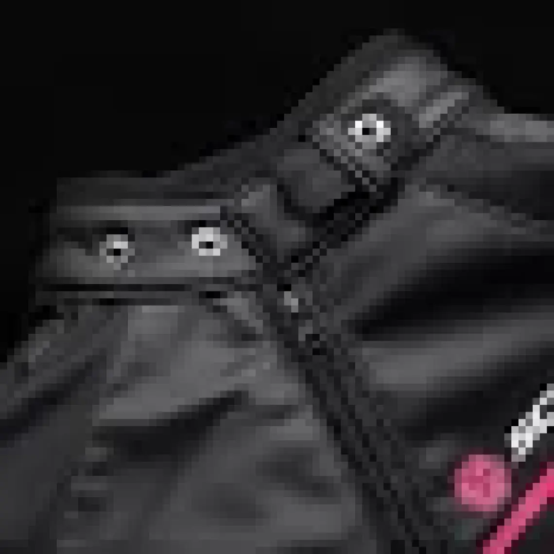 Scoyco JK153W 4 Mevsim Motosiklet Kadın Montu