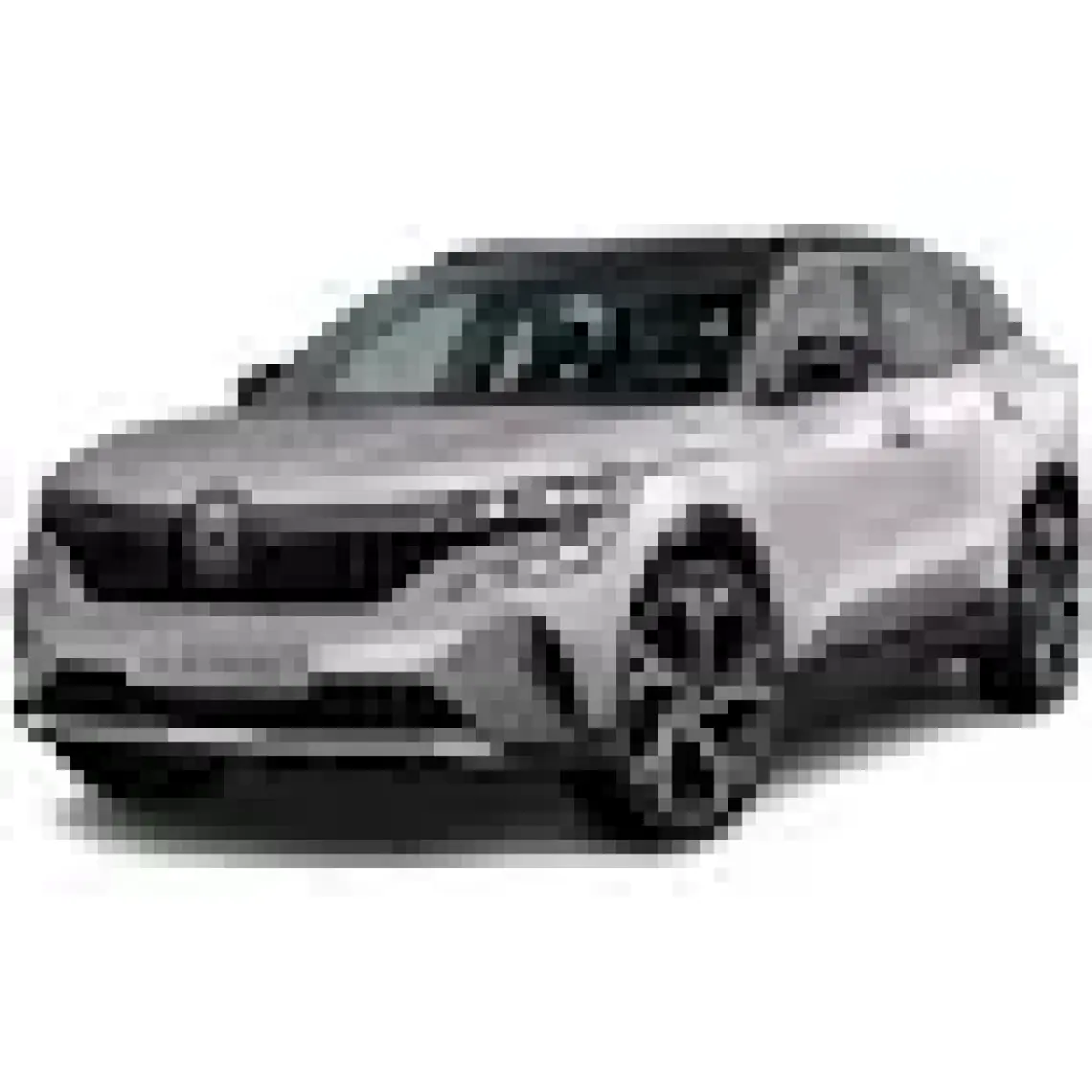 Öz-İş Renault Austral Halı Bagaj Havuzu (2023)