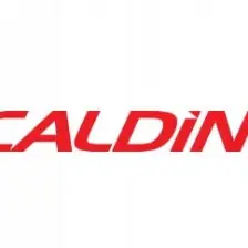 Caldini 400 ml Caldini Araç Klima Temizleme Köpük Spreyi