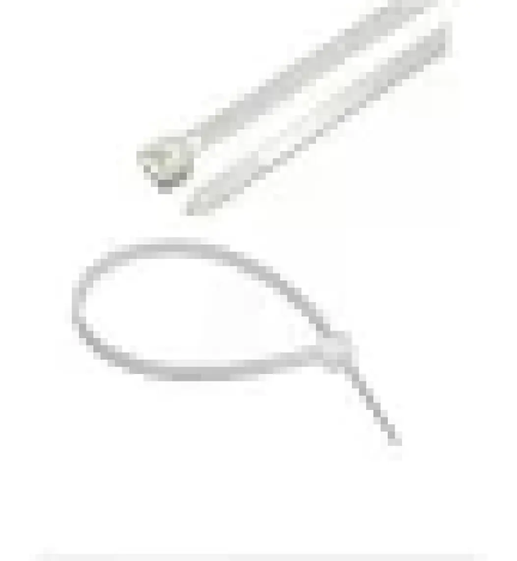 Gwest Gt 100M 100 x 2,5 mm Beyaz Kablo Bağı