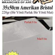 Amerikan Bristol Karton 35x50 cm 5 Adet 220 gr Bir Tarafı Parlak Bir Tarafı Mat Kağıt Biristol Karto