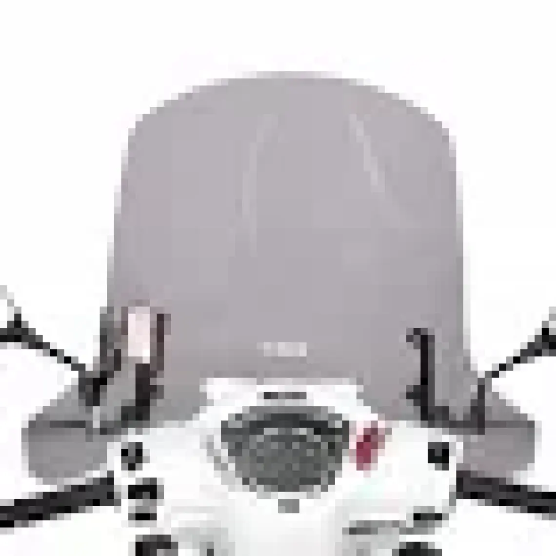 GP Kompozit Honda Dio 2021-2024 Uyumlu Ön Cam Füme 58 cm