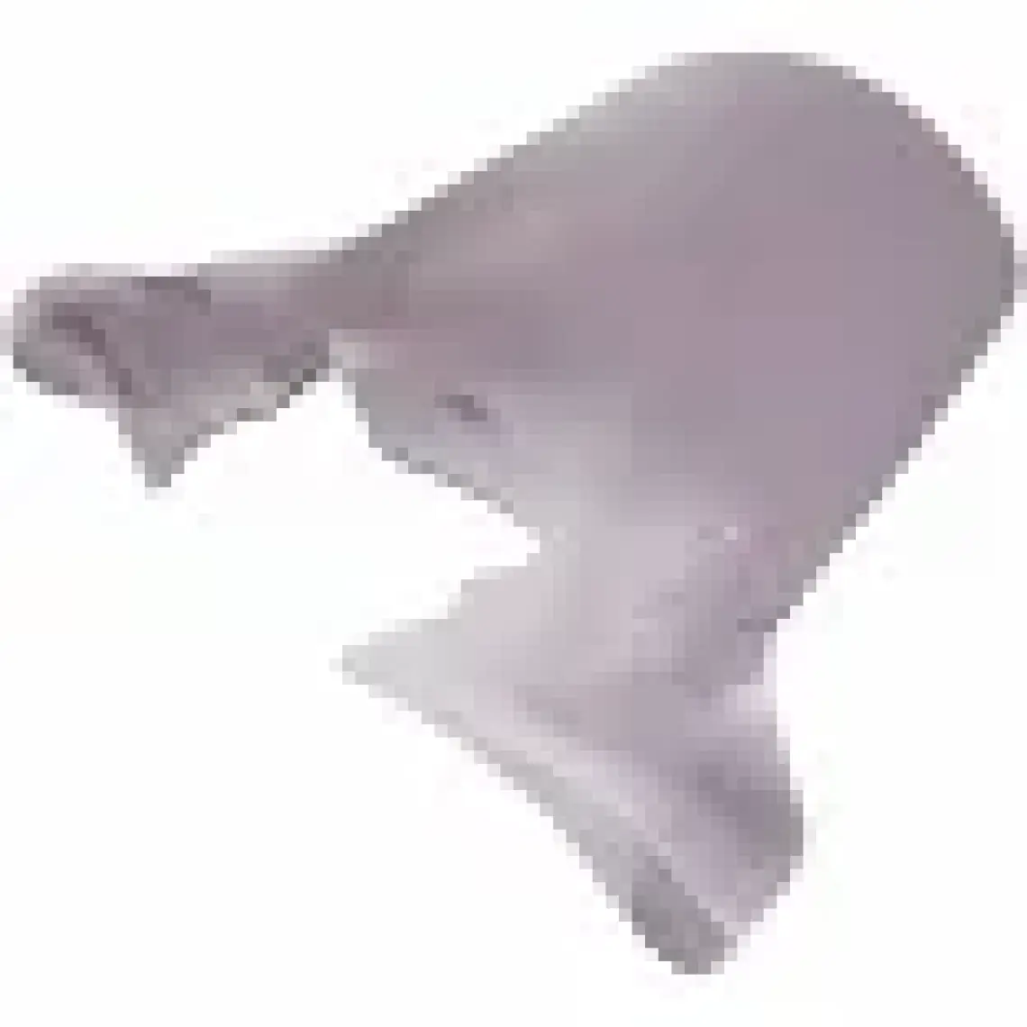 Gp Kompozit Tvs Jupiter 125 2023-2024 Uyumlu Ön Cam Füme 58 cm