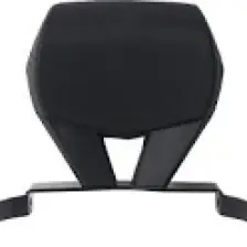 GP Kompozit Honda Forza 250 2018-2020 Uyumlu Sissy Bar Siyah