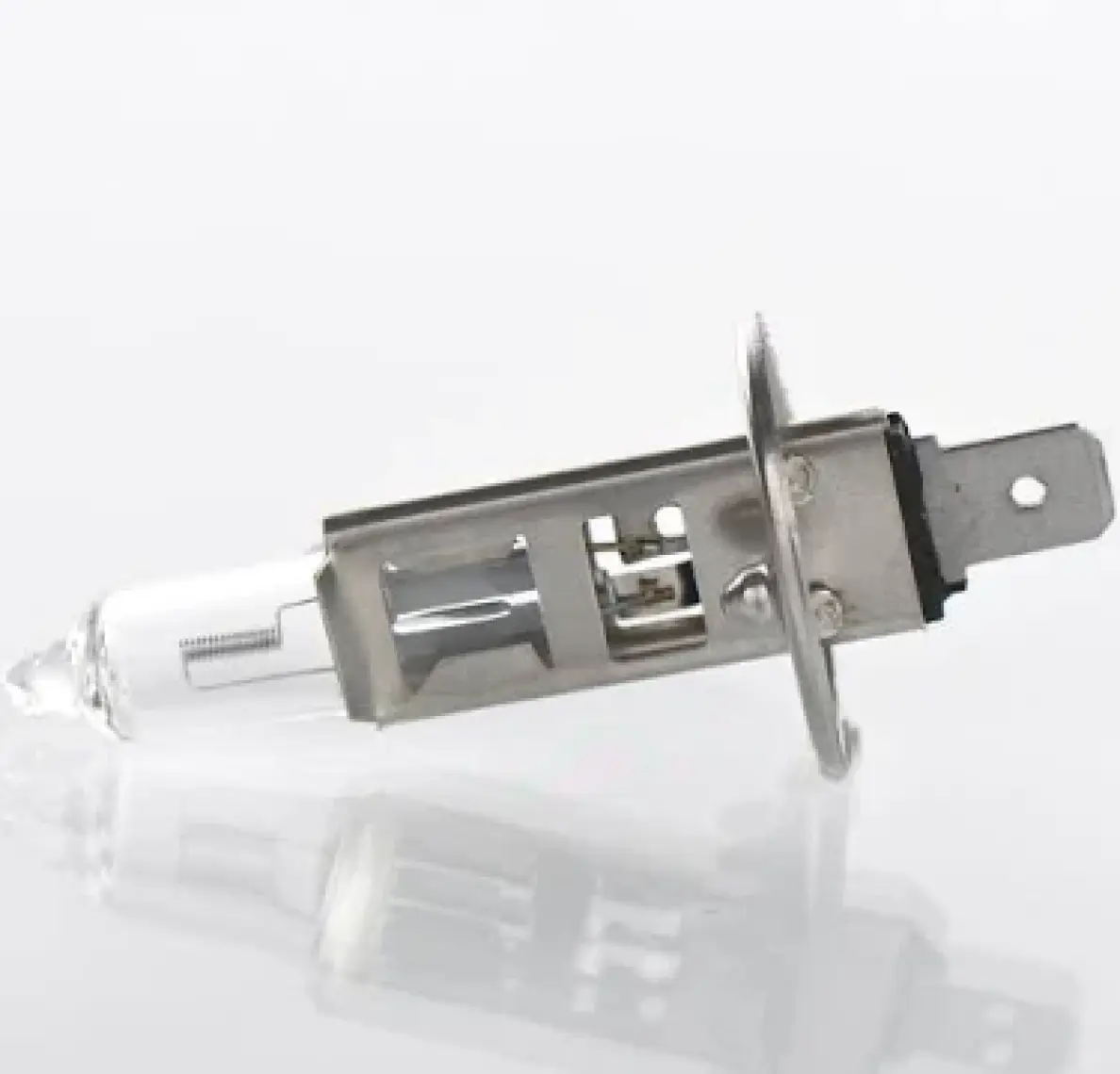 Bosch H1 12V 55W Standart Halogen Ampul