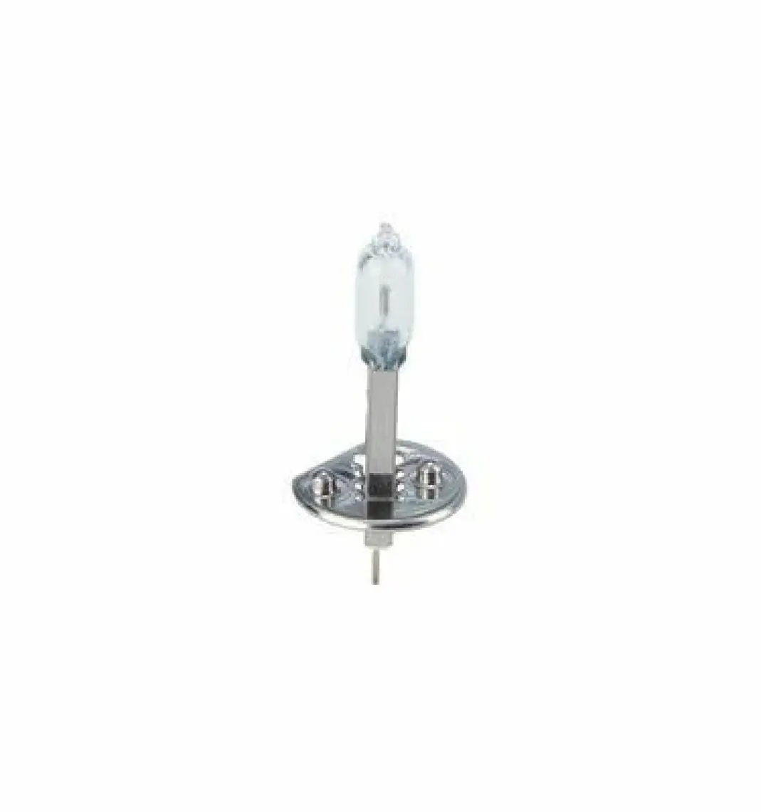 Bosch H1 12V 55W Standart Halogen Ampul