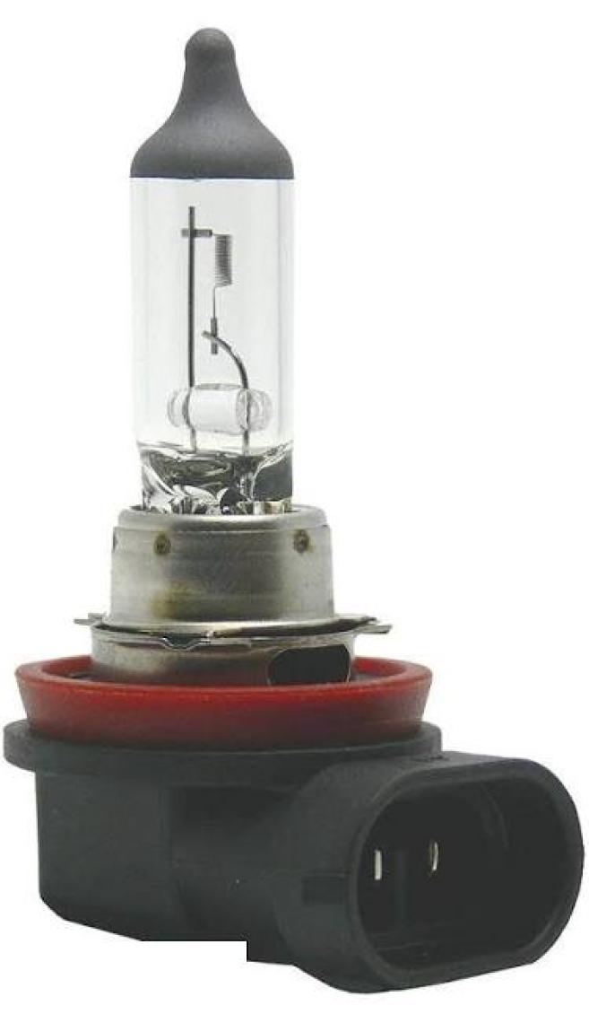 Sentinel Oto Far Ampulü - H11 12V 55W Ampul