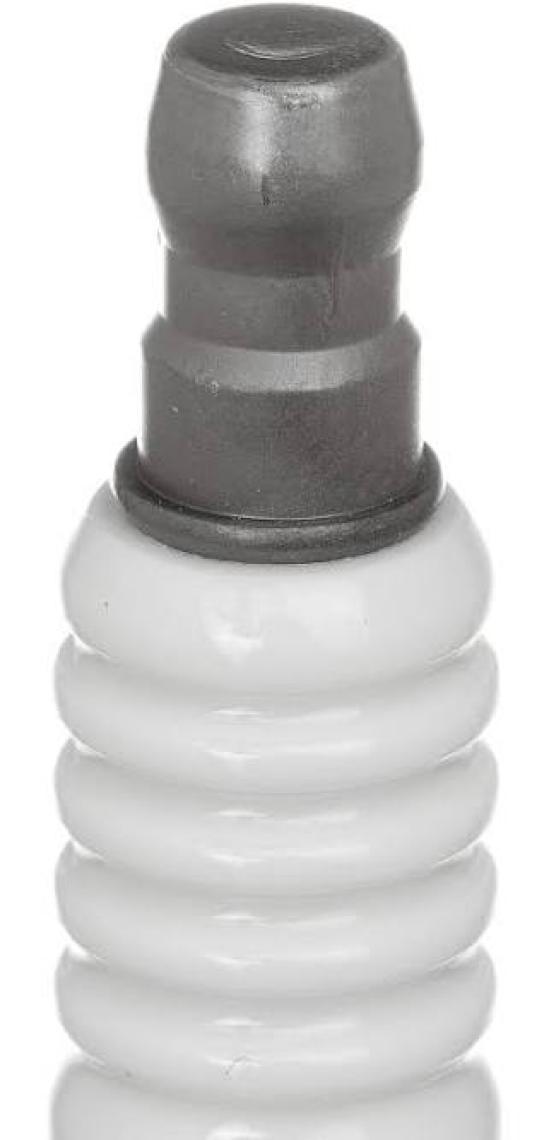 NGK Buji DCPR6E