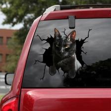 TSC Araba Arka Cam Kedi Sticker Yapıştırma 17 cm A9