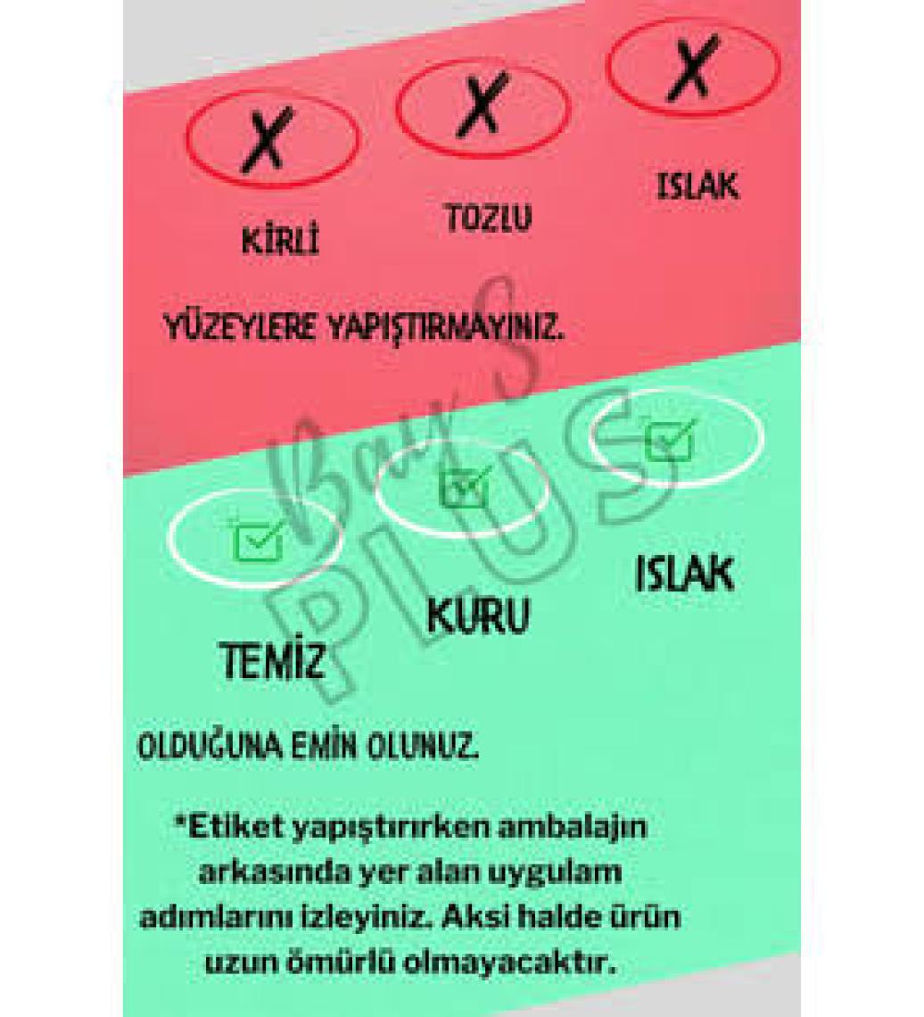 Quart Spider Örümcek Oto Sticker Cam Sticker
