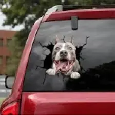 TSC Araba Arka Cam Pitbull Sticker Yapıştırma 17 cm A2