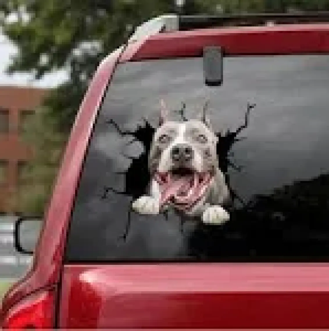 TSC Araba Arka Cam Pitbull Sticker Yapıştırma 17 cm A2