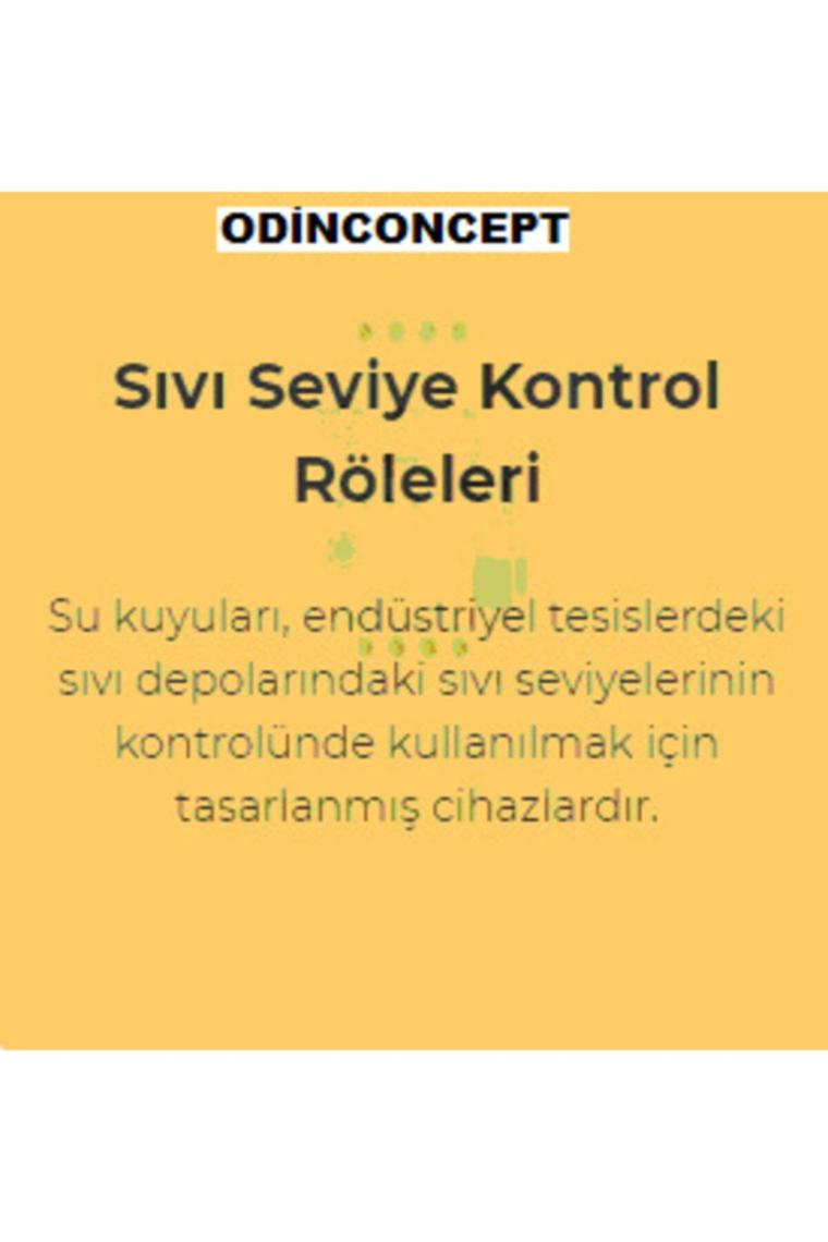 Entes Ssrc-04 Sıvı Seviye Kontrol Rölesi