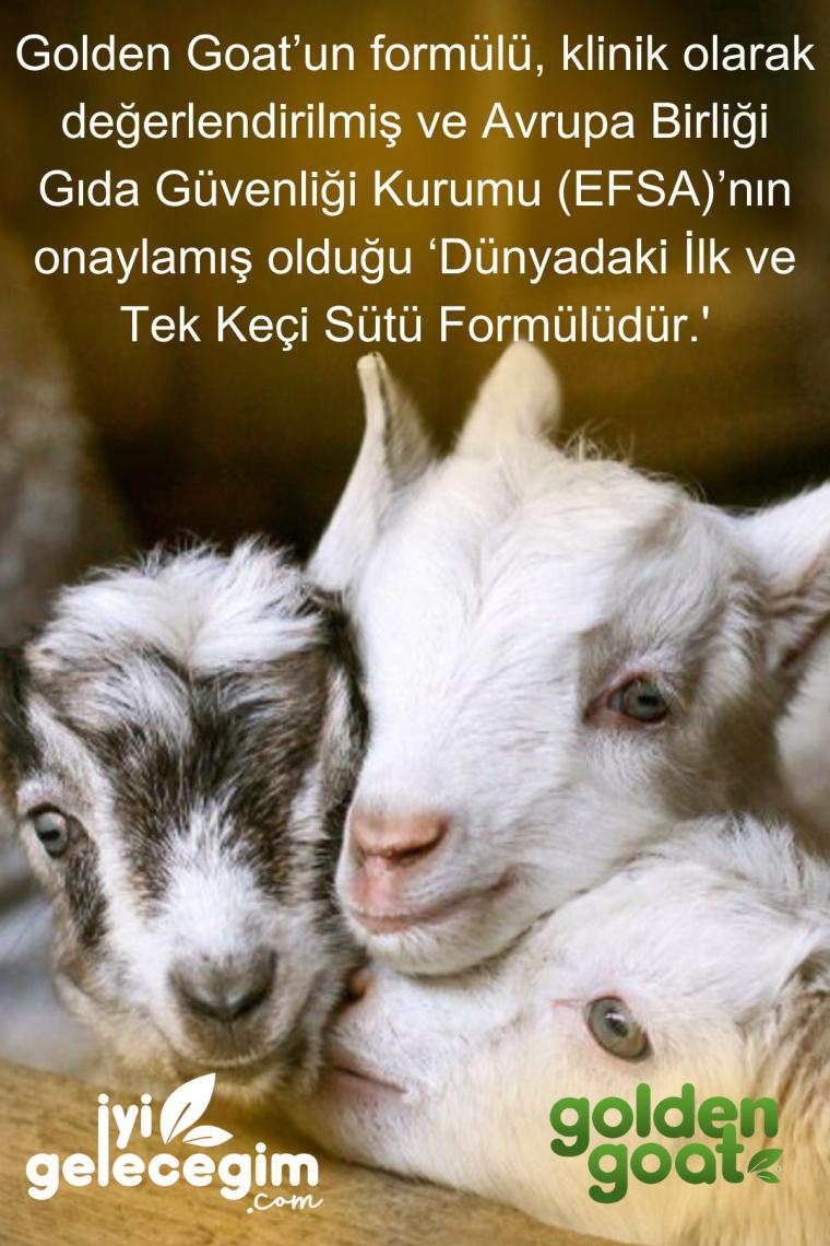 Keçi Devam Sütü 2 Numara 400 Gr 4'lü Paket
