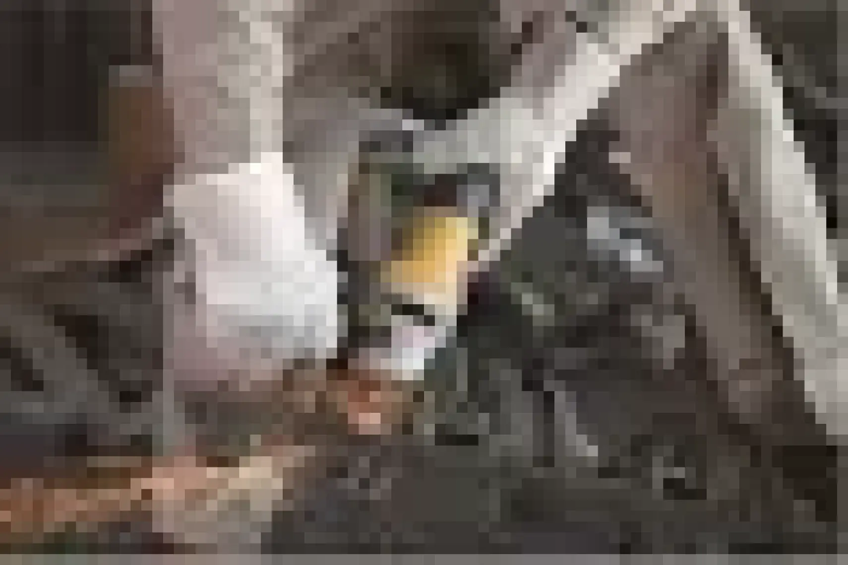 Stanley STGS9115 900W 115MM Avuç Taşlama