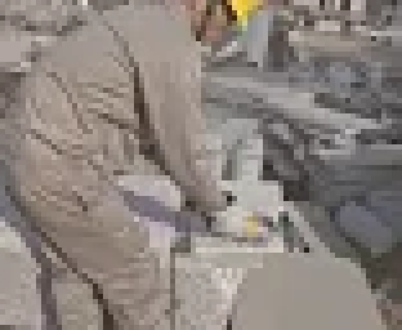 Stanley STGS9115 900W 115MM Avuç Taşlama