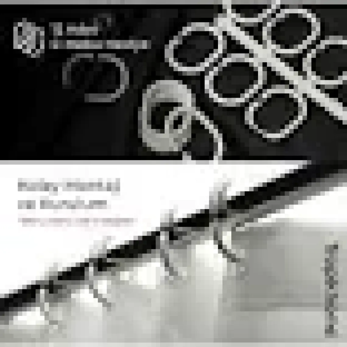 Pimtaş Troopikhome Banyo Perdesi Papatya Çiçek Desen Duş Perde Su Geçirmez Küvet Perde 180X200 Duş Perdesi 12 C-Halkalı 8441 Daisy