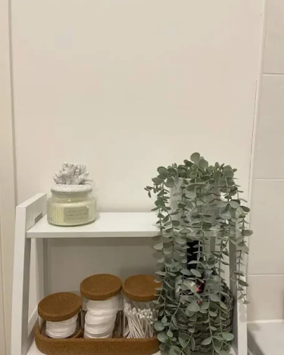 IKEA 5 Parça Banyo Seti Cam-Mantar Kapaklar Meridyendukkan Banyo Düzenleyici Kutular