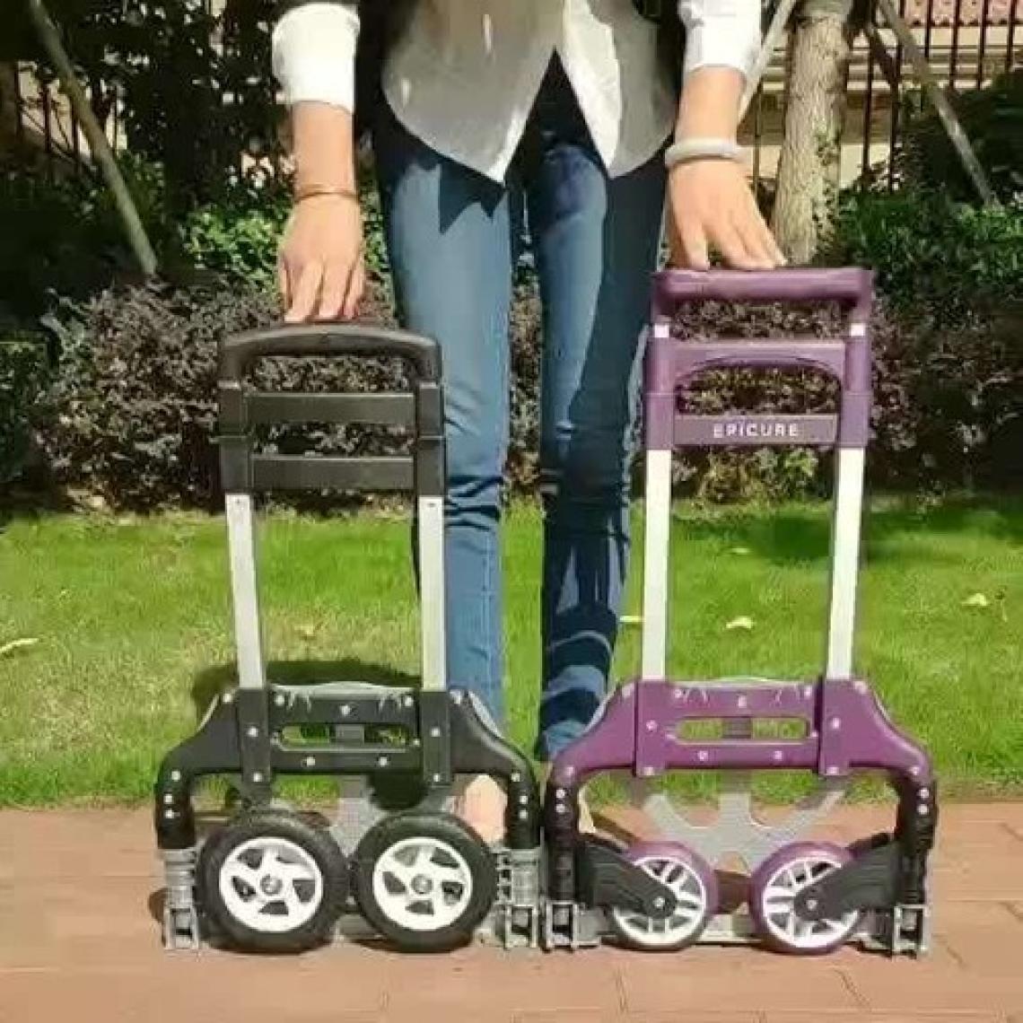 Ice El Arabası Katlanabilir Kaymaz Taşıma Platformu Max Taşıma Kapasitesi 80 Kg. Dahil Bagaj Örümceği