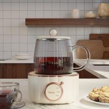 Elektrikli Çok Fonksiyonlu Cam Bardak Su Isıtıcısı Kettle Bitki Çayı Makinesi 600ml 400w Fr-kt02