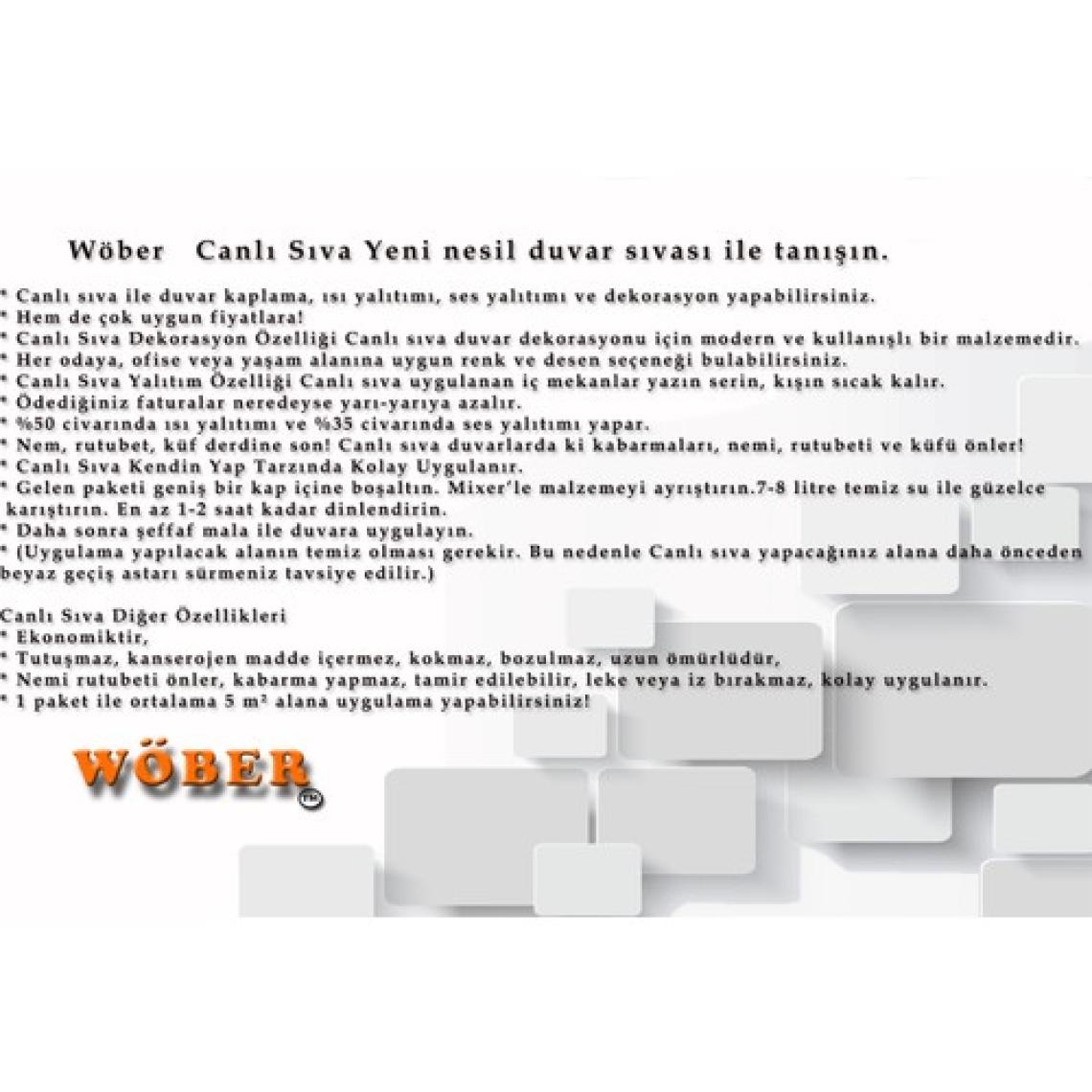 Wöber Canlı Sıva Dekorasyon ve Yalıtım Sıvası - Istanbul 3011