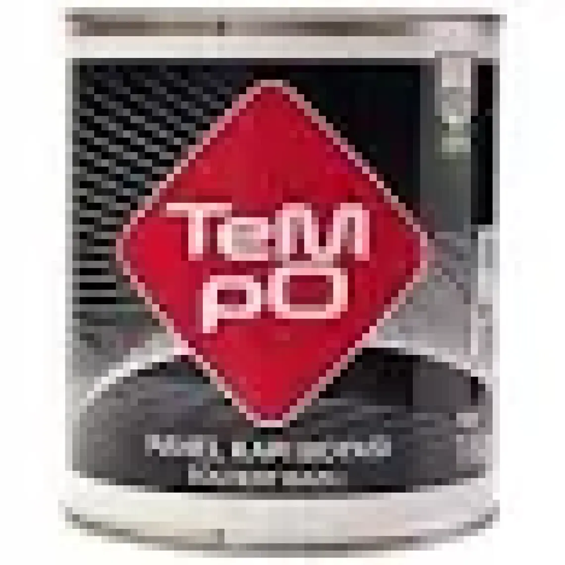 Tempo Lüks Sentetik Boya 2,5 kg