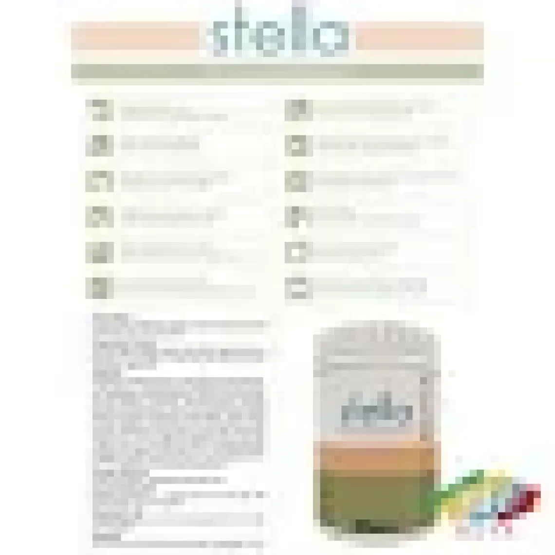 Stella Saf Akrilik Boya