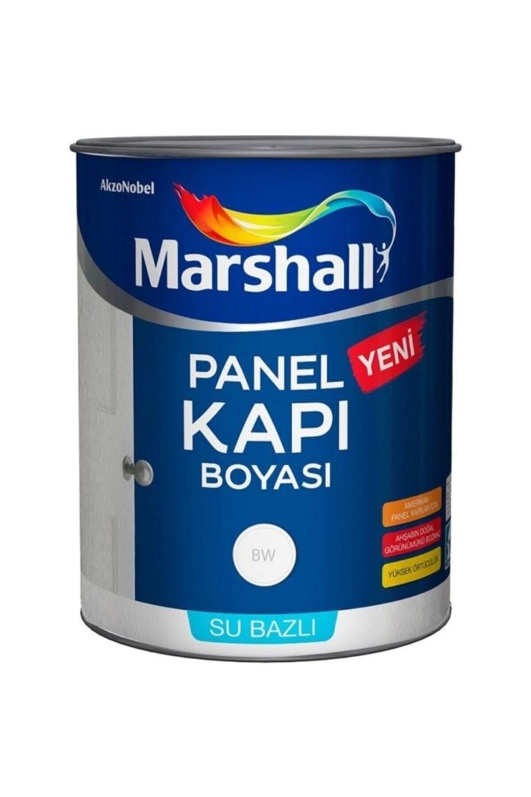 Su Bazlı Panel Kapı Boyası 1 Lt Beyaz