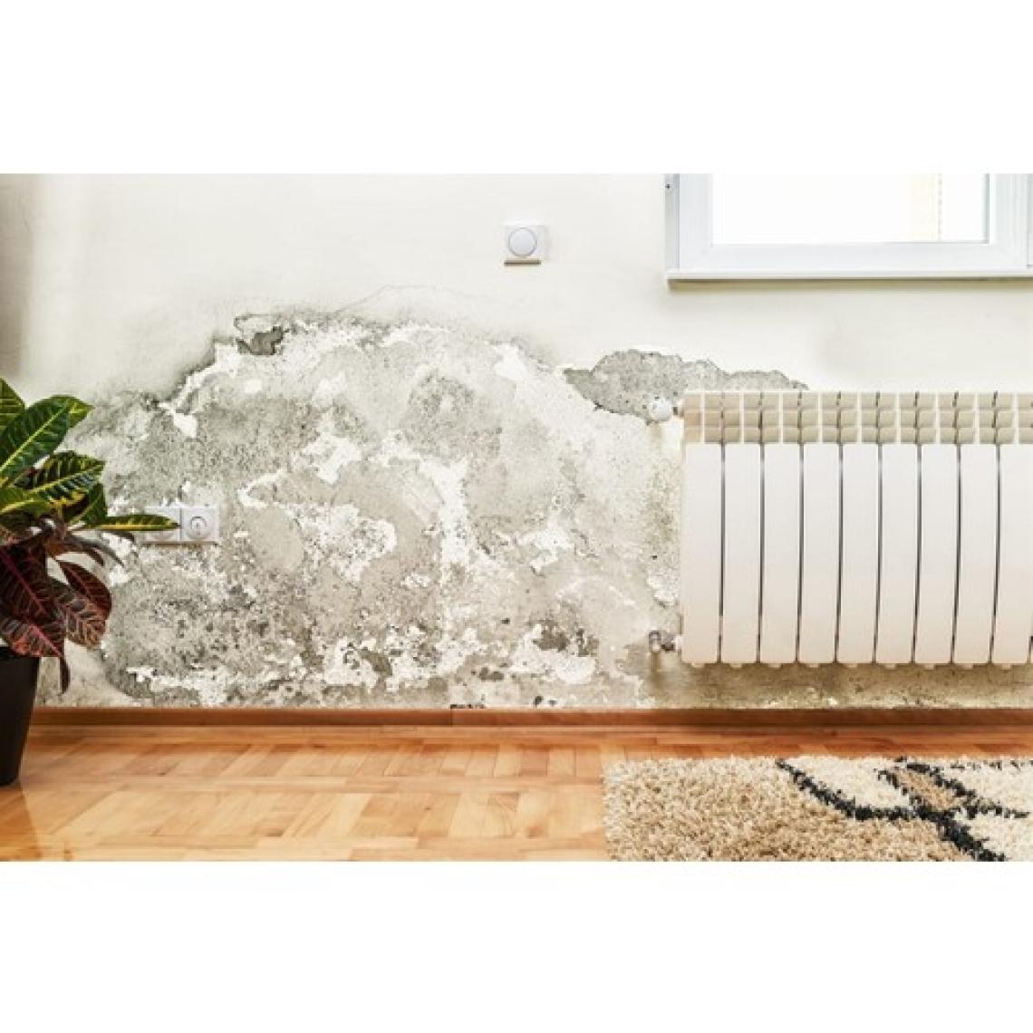 Dryfix Nm-S 10 Nemeson Nem ve Rutubet Boyası 5 kg Dryfix
