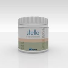 Bianca Stella Su Bazlı Saf Akrilik Boya 0.50LT 2818 Ay Tozu