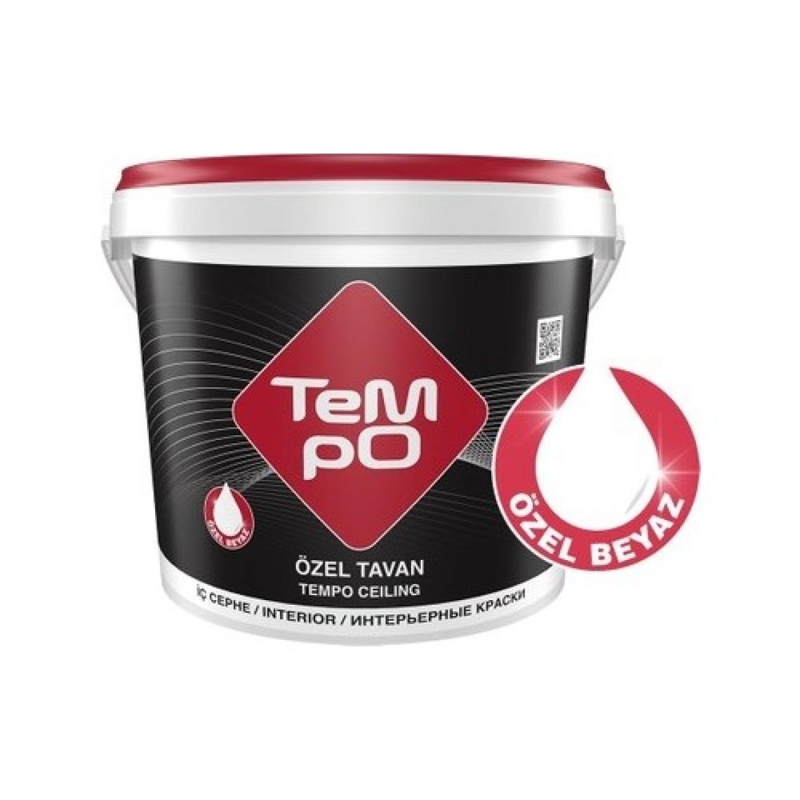 Tempo Özel 10 kg Tavan Boyası