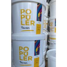 Polisan Popüler Tavan Boyası Beyaz 17,5 kg
