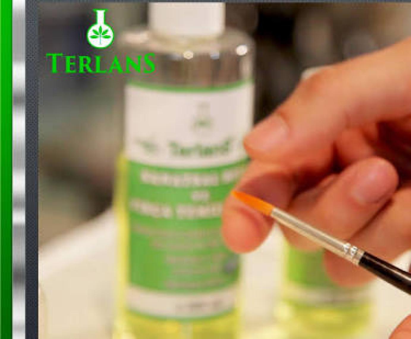 Terlans Kokusuz Terebentin 100 ml Odourless Oil Paint Thinner