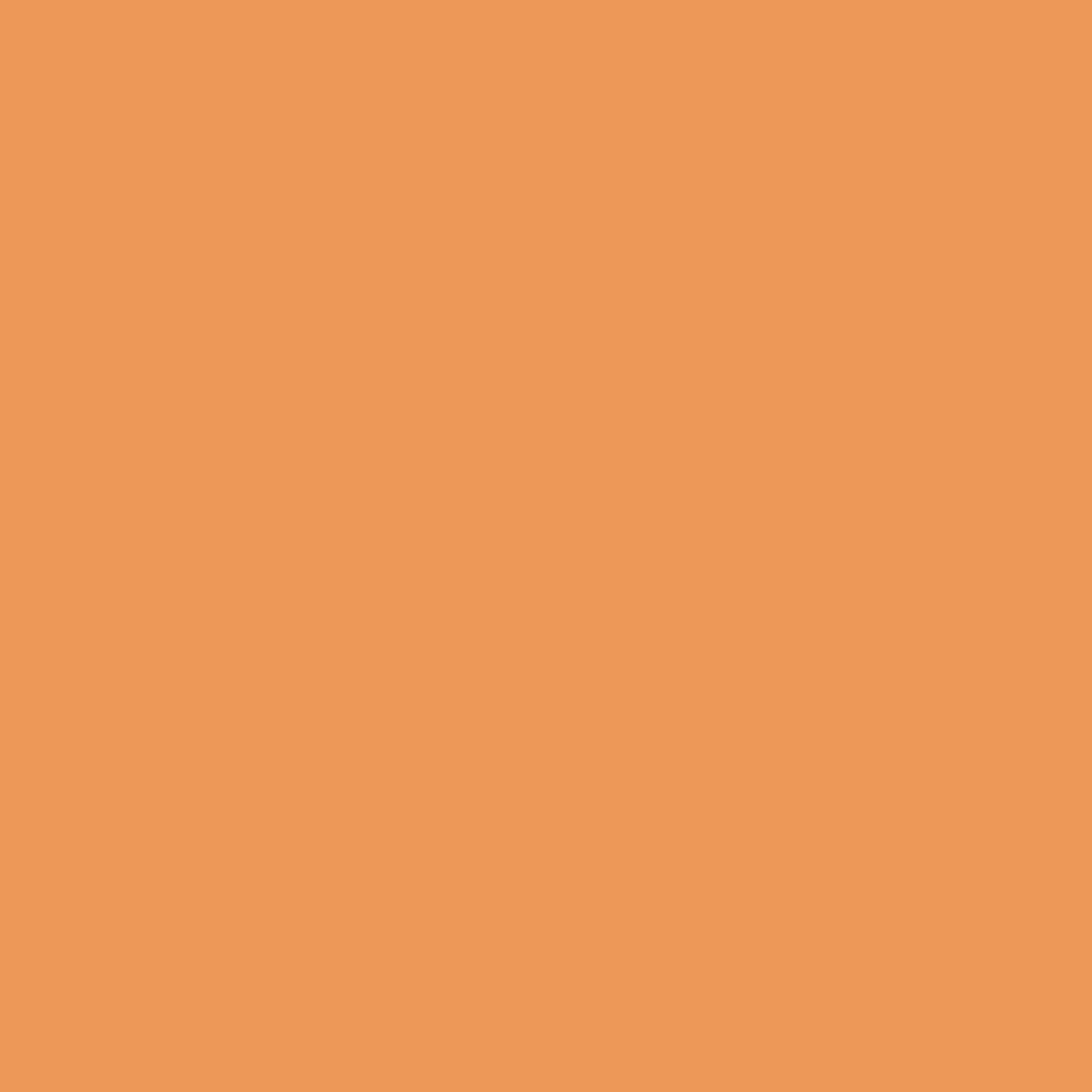 Winsor & Newton Promarker - N:224 Bal Rengi
