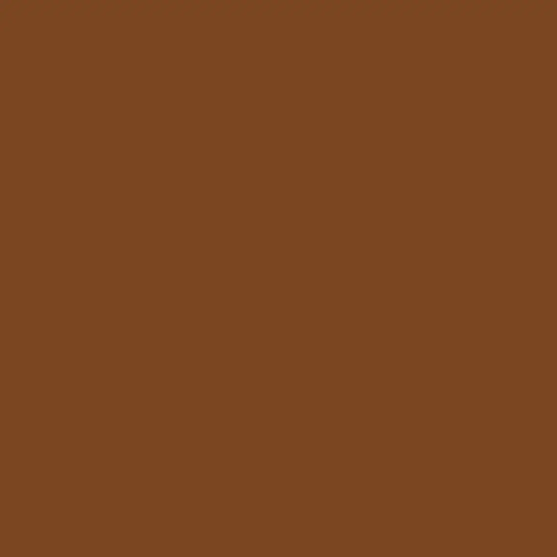 Winsor & Newton Promarker - N:074 Kahverengi