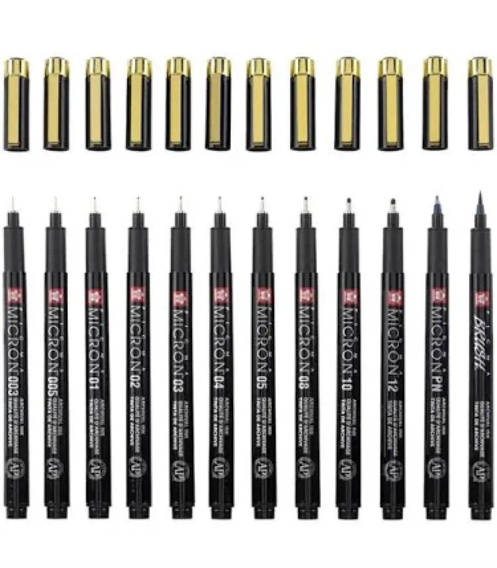 Sakura Pigma Black & Gold Edition Set 12'li