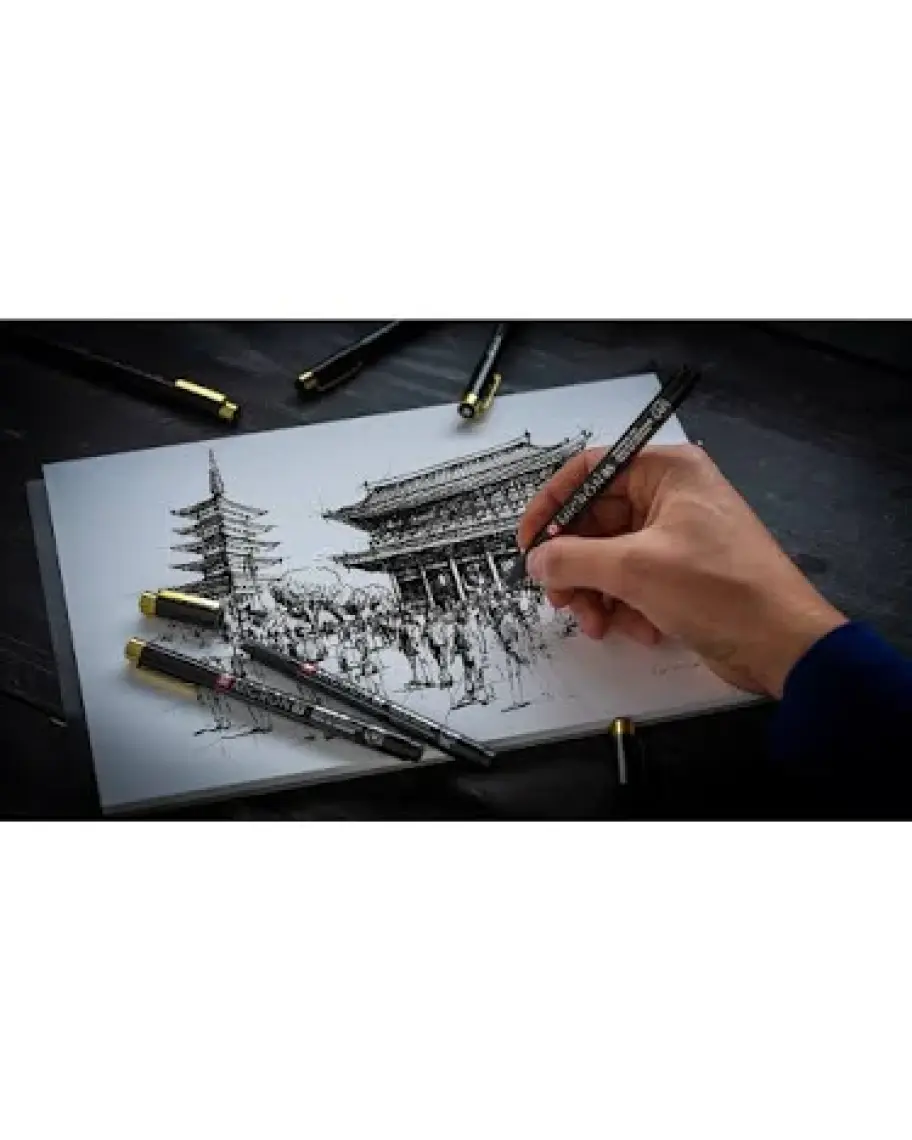 Sakura Pigma Black & Gold Edition Set 12'li