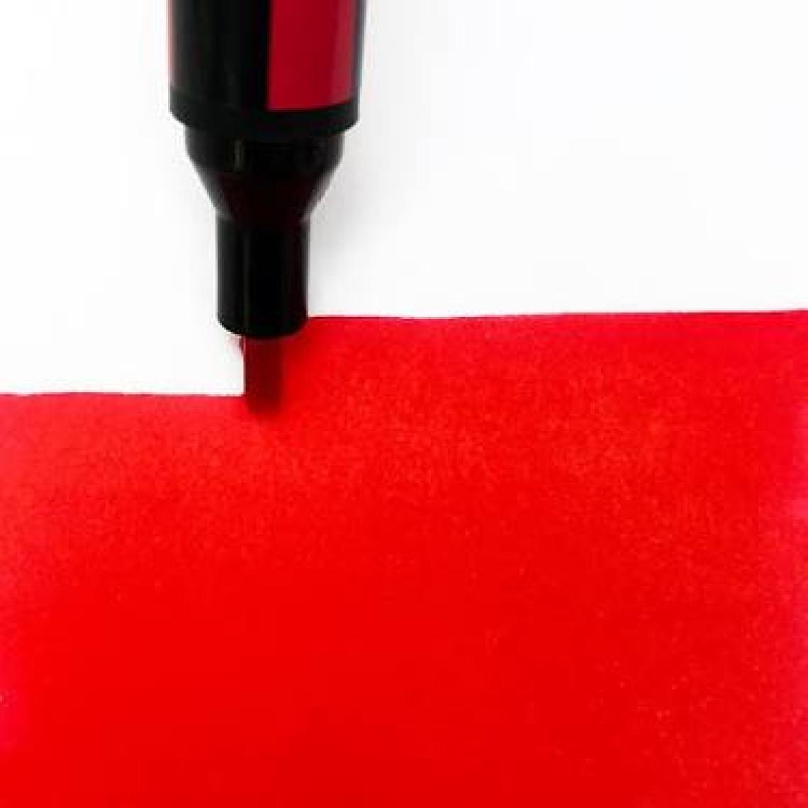 Winsor & Newton Promarker - N:300