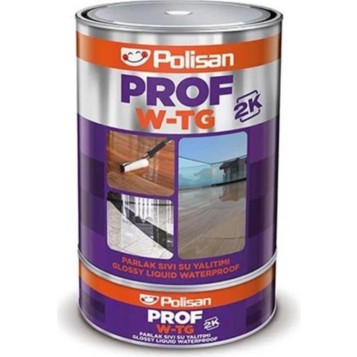 İsonem Polisan Prof W-Tg 2 K Şeffaf Su Yalıtımı Sıvı Cam 1 Kg.
