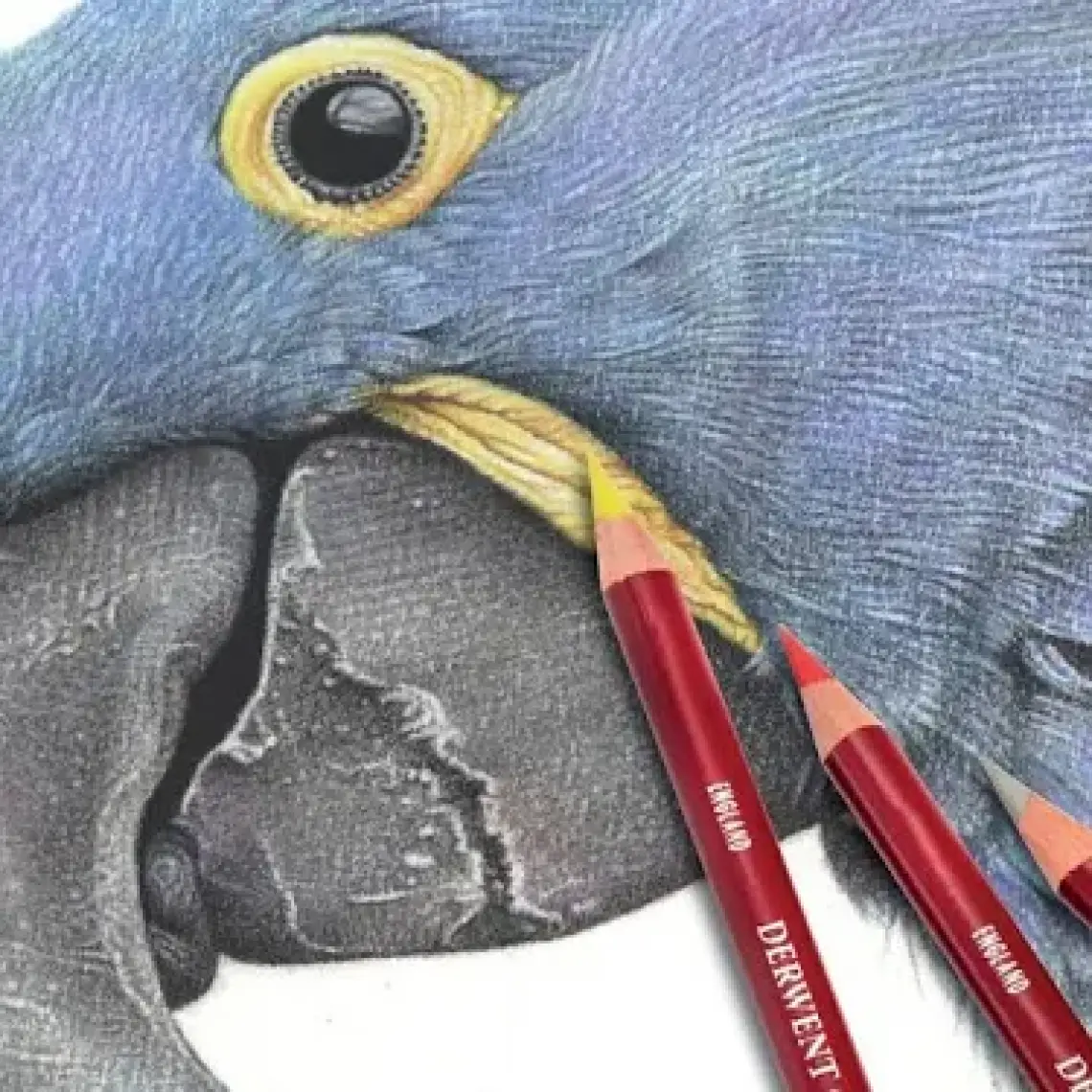 Derwent Pastel Pencils Pastel Kalem P700 Graphite Grey