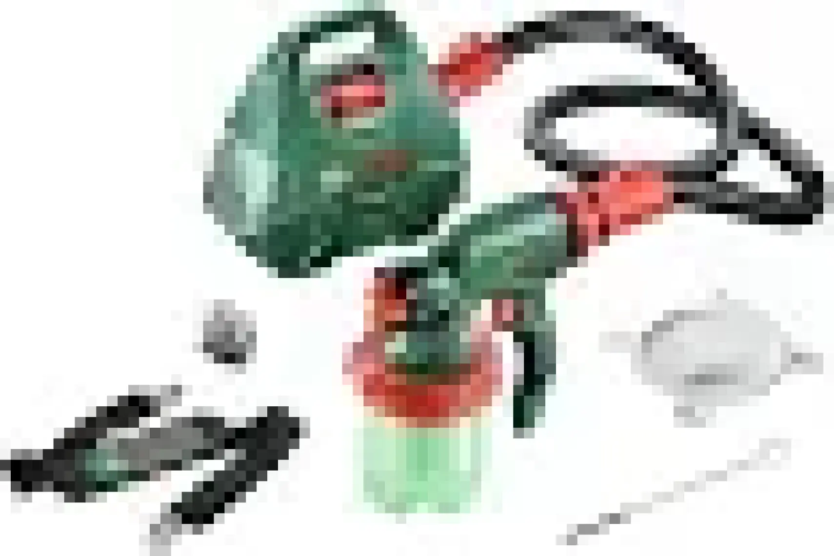 Bosch PFS 3000-2 AllPaint Boya Tabancası