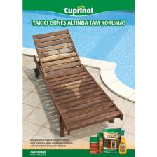 Marshall Cuprinol Woodart Classic Tik Yağı 2,5 Lt.